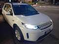 Land Rover Discovery Sport Discovery Sport I 2020 2.0d i4 mhev S awd 150cv 7p Blanc - thumbnail 6