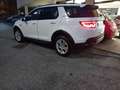 Land Rover Discovery Sport Discovery Sport I 2020 2.0d i4 mhev S awd 150cv 7p Blanc - thumbnail 3