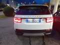 Land Rover Discovery Sport Discovery Sport I 2020 2.0d i4 mhev S awd 150cv 7p Blanc - thumbnail 4