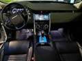 Land Rover Discovery Sport Discovery Sport I 2020 2.0d i4 mhev S awd 150cv 7p Blanc - thumbnail 10