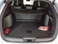 BYD Seal U PHEV Boost*MATRIX*HEAD-UP*OPEN-SKY*LEDER*NAVI*ASS Blau - thumbnail 8