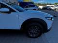 Mazda CX-30 2.0 M-Hybrid Evolv Line Design 2wd 150cv 6at Blanc - thumbnail 11