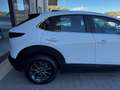 Mazda CX-30 2.0 M-Hybrid Evolv Line Design 2wd 150cv 6at Blanc - thumbnail 9