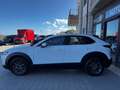 Mazda CX-30 2.0 M-Hybrid Evolv Line Design 2wd 150cv 6at Blanc - thumbnail 13