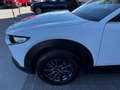 Mazda CX-30 2.0 M-Hybrid Evolv Line Design 2wd 150cv 6at Blanc - thumbnail 16