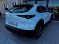 Mazda CX-30 2.0 M-Hybrid Evolv Line Design 2wd 150cv 6at Blanc - thumbnail 22