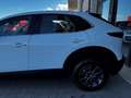 Mazda CX-30 2.0 M-Hybrid Evolv Line Design 2wd 150cv 6at Blanc - thumbnail 14