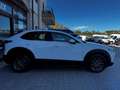 Mazda CX-30 2.0 M-Hybrid Evolv Line Design 2wd 150cv 6at Blanc - thumbnail 8