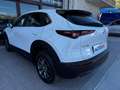 Mazda CX-30 2.0 M-Hybrid Evolv Line Design 2wd 150cv 6at Blanc - thumbnail 26