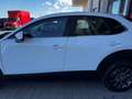Mazda CX-30 2.0 M-Hybrid Evolv Line Design 2wd 150cv 6at Blanc - thumbnail 15