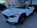 Mazda CX-30 2.0 M-Hybrid Evolv Line Design 2wd 150cv 6at Blanc - thumbnail 12