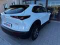 Mazda CX-30 2.0 M-Hybrid Evolv Line Design 2wd 150cv 6at Blanc - thumbnail 23