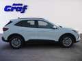 Ford Kuga 2,5 Duratec FHEV Titanium Aut. Weiß - thumbnail 3