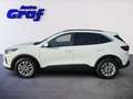 Ford Kuga 2,5 Duratec FHEV Titanium Aut. Weiß - thumbnail 6