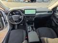Ford Kuga 2,5 Duratec FHEV Titanium Aut. Weiß - thumbnail 14
