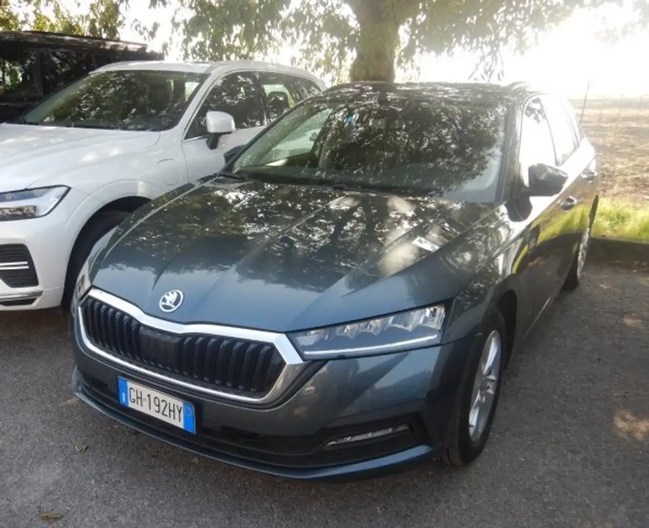 Skoda Octavia Wagon 2.0 tdi evo Executive 115cv dsg - GH192HY Grigio - 2