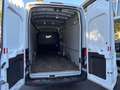 Ford Transit Kasten 350 L4H3 170PS Kamera DAB+ KLIMA Blanco - thumbnail 11