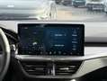 Ford Focus SW 1.0 EcoBoost 125 S&S mHEV Titanium X Business - thumbnail 8
