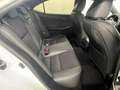 Lexus IS 250 *1.HAND*F-SPORT*LEDER*NAVI*STDHZ*DE-MODELL Blanc - thumbnail 9
