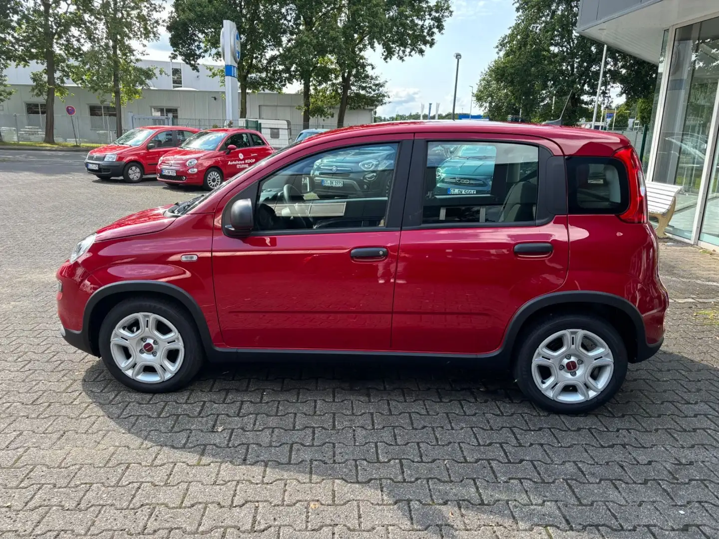 Fiat Panda 1.0 GSE Hybrid Rojo - 2