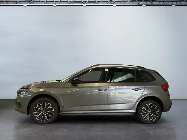 Skoda Kamiq view 3