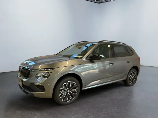 Skoda Kamiq view 2