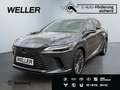 Lexus RX 450h + 2,5 l E-CVT, 4x4 Plug-in 5-Türer LUXURY Grau - thumbnail 1