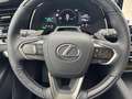 Lexus RX 450h + 2,5 l E-CVT, 4x4 Plug-in 5-Türer LUXURY Grau - thumbnail 14