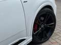 Audi Q7 55 TFSI quattro S Line 7p Pano ACC Trekhaak Camera Blanc - thumbnail 15