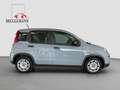 Fiat Panda 1.0 GSE Hybrid + Techpaket Grau - thumbnail 7