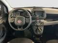 Fiat Panda 1.0 GSE Hybrid + Techpaket Grau - thumbnail 12