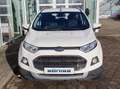 Ford EcoSport Titanium "Navigation - Tempomat " Blanc - thumbnail 2