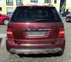 Mercedes-Benz ML 320 CDI Off-Road Aut. Leder Bi-Xenon Airmatic Червоний - thumbnail 5