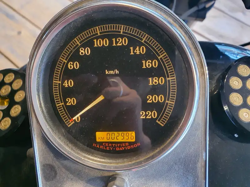 Harley-Davidson Softail - foto 4