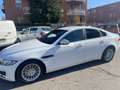 Jaguar XF 2.0d e-perf. Pure Business edition 163cv auto Bianco - thumbnail 3