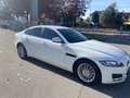 Jaguar XF 2.0d e-perf. Pure Business edition 163cv auto Weiß - thumbnail 1