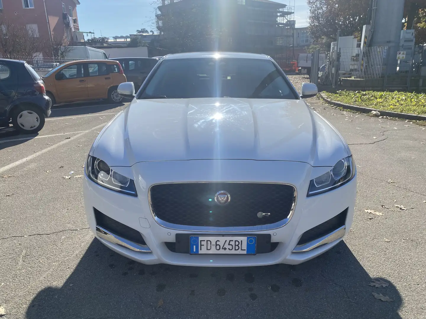 Jaguar XF 2.0d e-perf. Pure Business edition 163cv auto Bianco - 2
