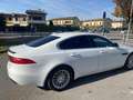 Jaguar XF 2.0d e-perf. Pure Business edition 163cv auto Bianco - thumbnail 5