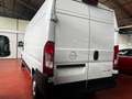 Opel Movano Fourgon 2.2Cdti 140CH Blanc - thumbnail 5