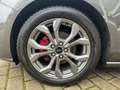 Ford Focus Turnier ST-Line X Pano Head B&O Winter Pak Grau - thumbnail 9