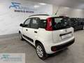 Fiat Panda Panda 0.9 TwinAir Turbo Natural Power Easy Beige - thumbnail 4