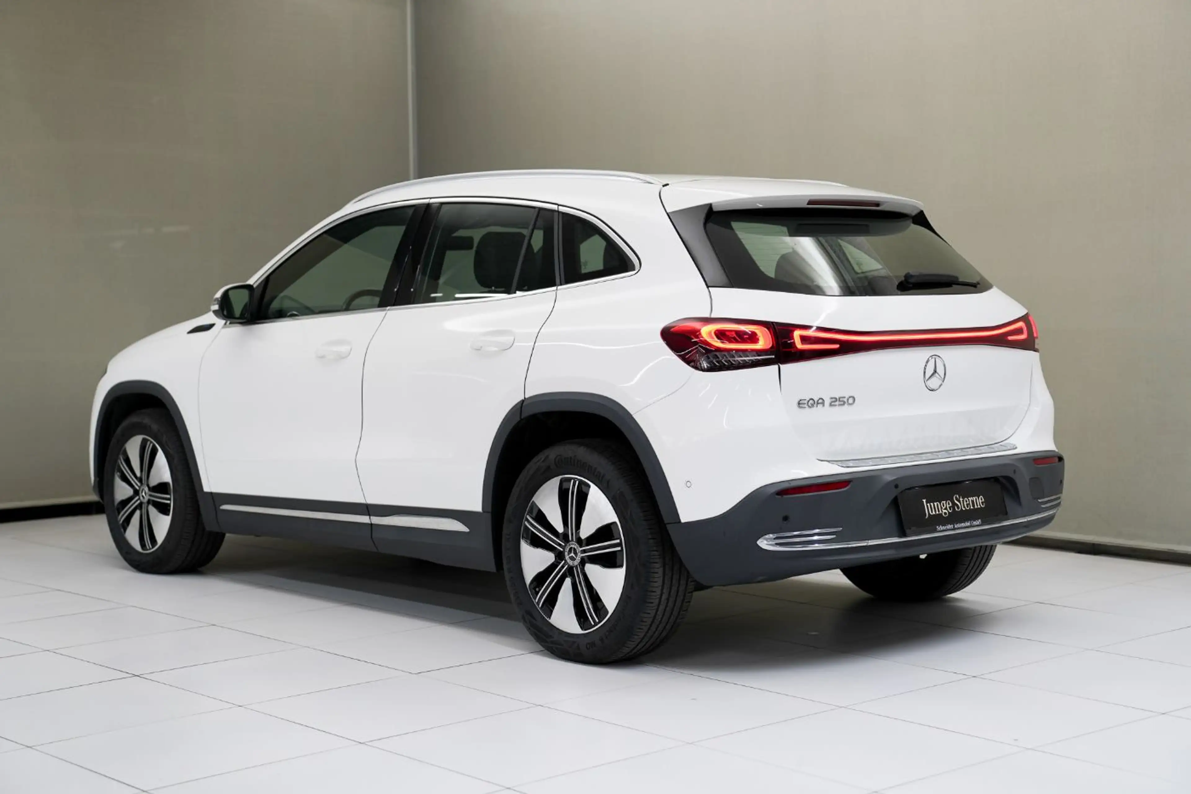 Mercedes-Benz EQA 250 KAM ParkAss. SpurH Navi KlimaA FLA LED — photo 10