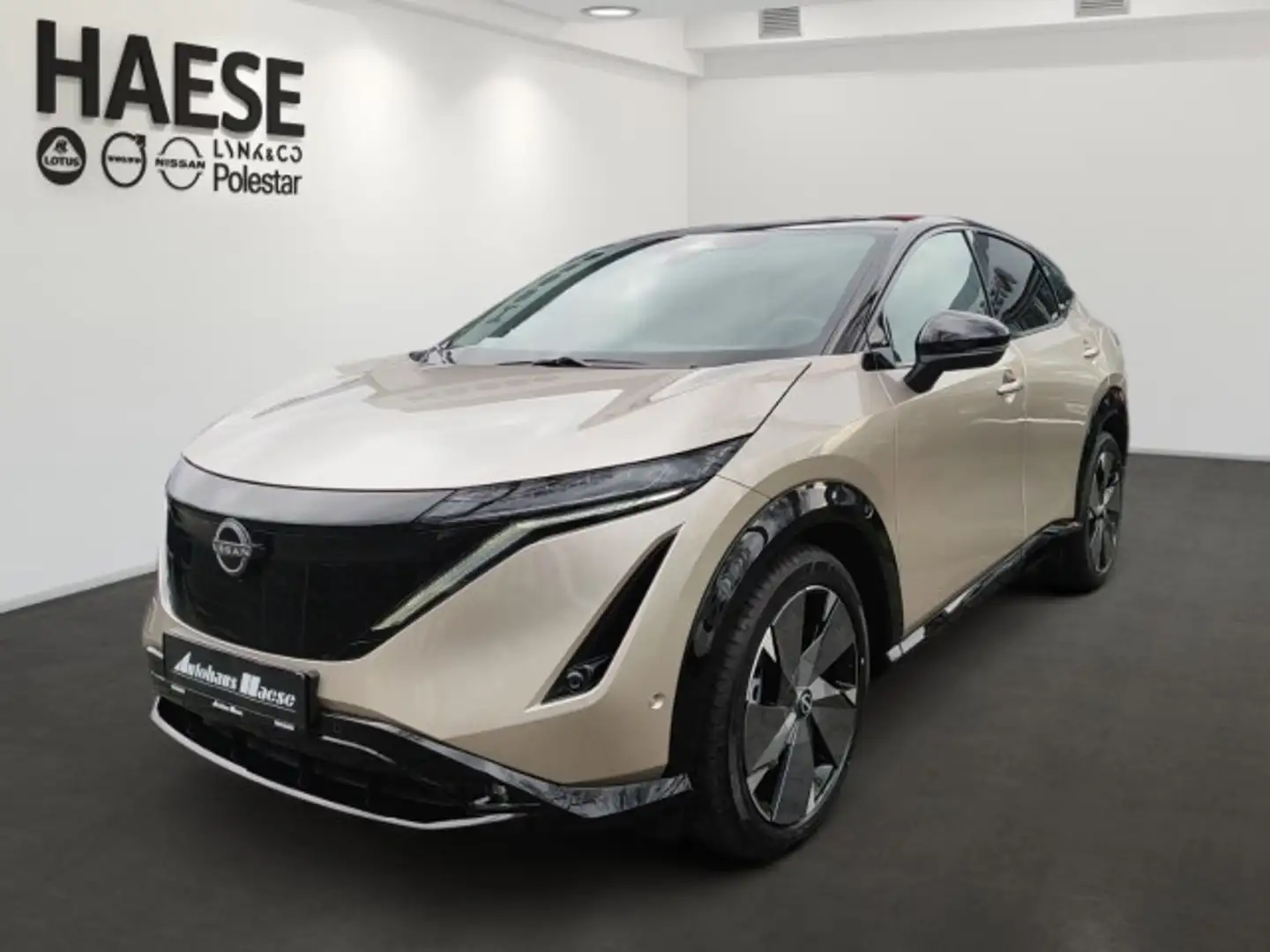 Nissan Ariya Evolve+ e-4orce 87 kWh Silber - 1