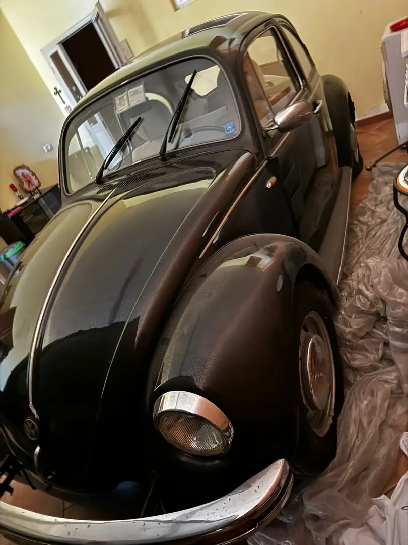 Volkswagen Maggiolino 1.2 L (messico) - 1