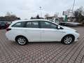 Toyota Auris 1.8 Hybrid Bianco - thumbnail 4