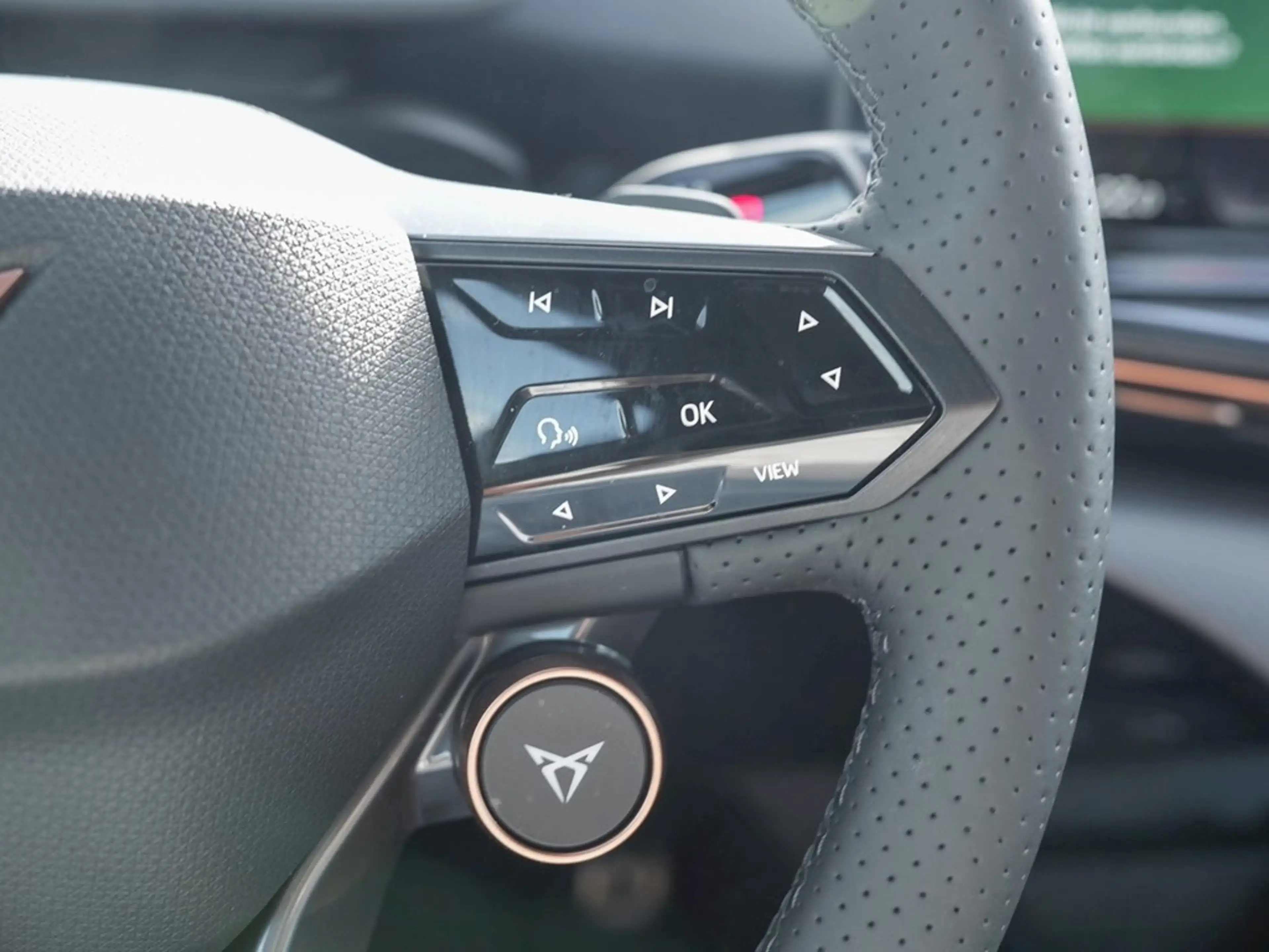 CUPRA Tavascan Adrenalin VZ 4Drive /MatrixLED/HuD/Navi — photo 17