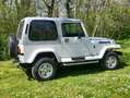 Jeep Wrangler Blanc - thumbnail 2