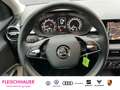 Skoda Fabia 1.0 Navi LED Apple CarPlay SHZ Kamera Blau - thumbnail 14