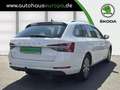 Skoda Superb Combi 2.0 TDI DSG Style AHK ACC Kam Navi Virt.Cock Blanc - thumbnail 5