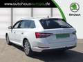 Skoda Superb Combi 2.0 TDI DSG Style AHK ACC Kam Navi Virt.Cock Blanc - thumbnail 2